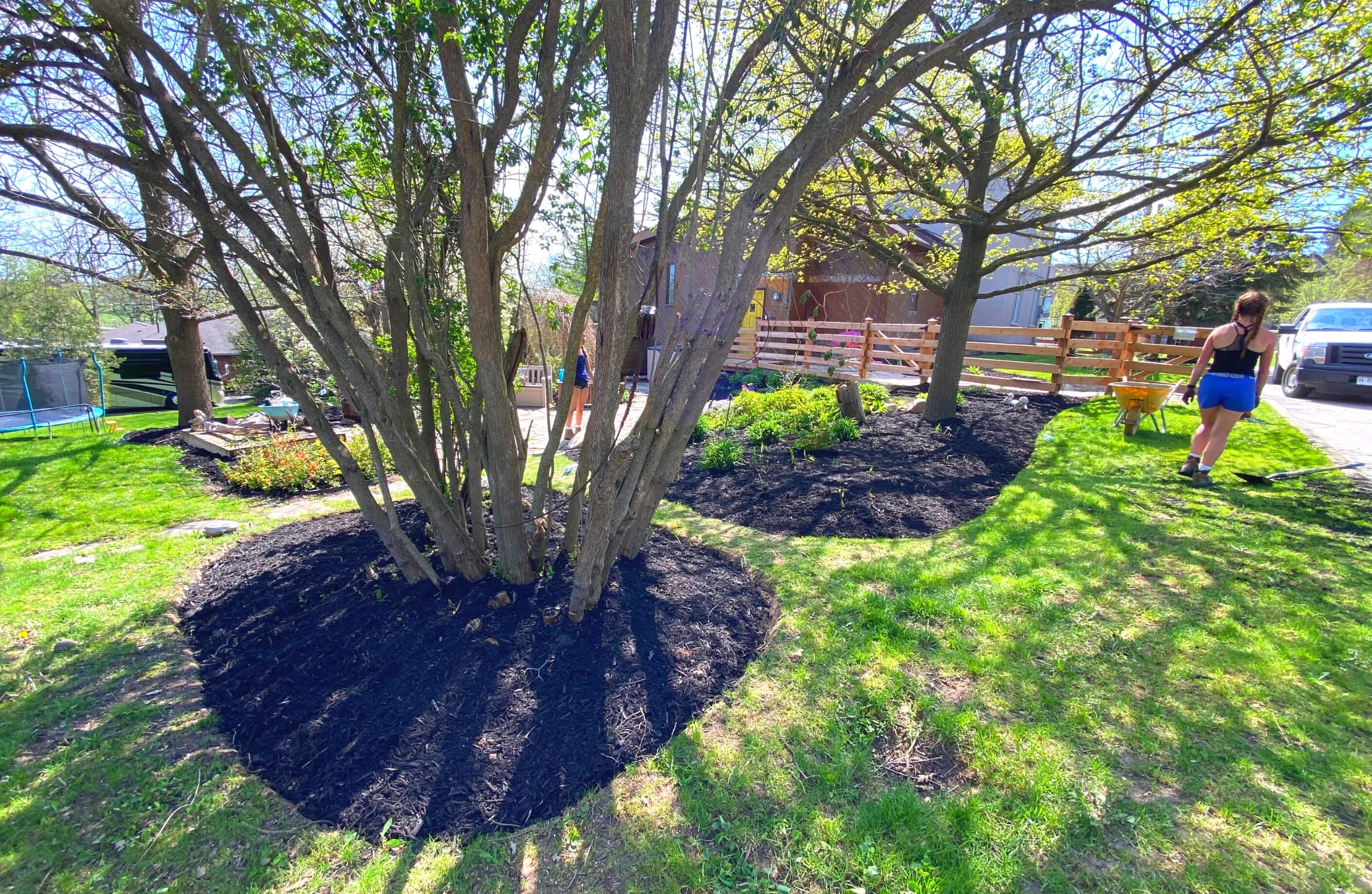 Garden clean-up by TLR Landscaping
