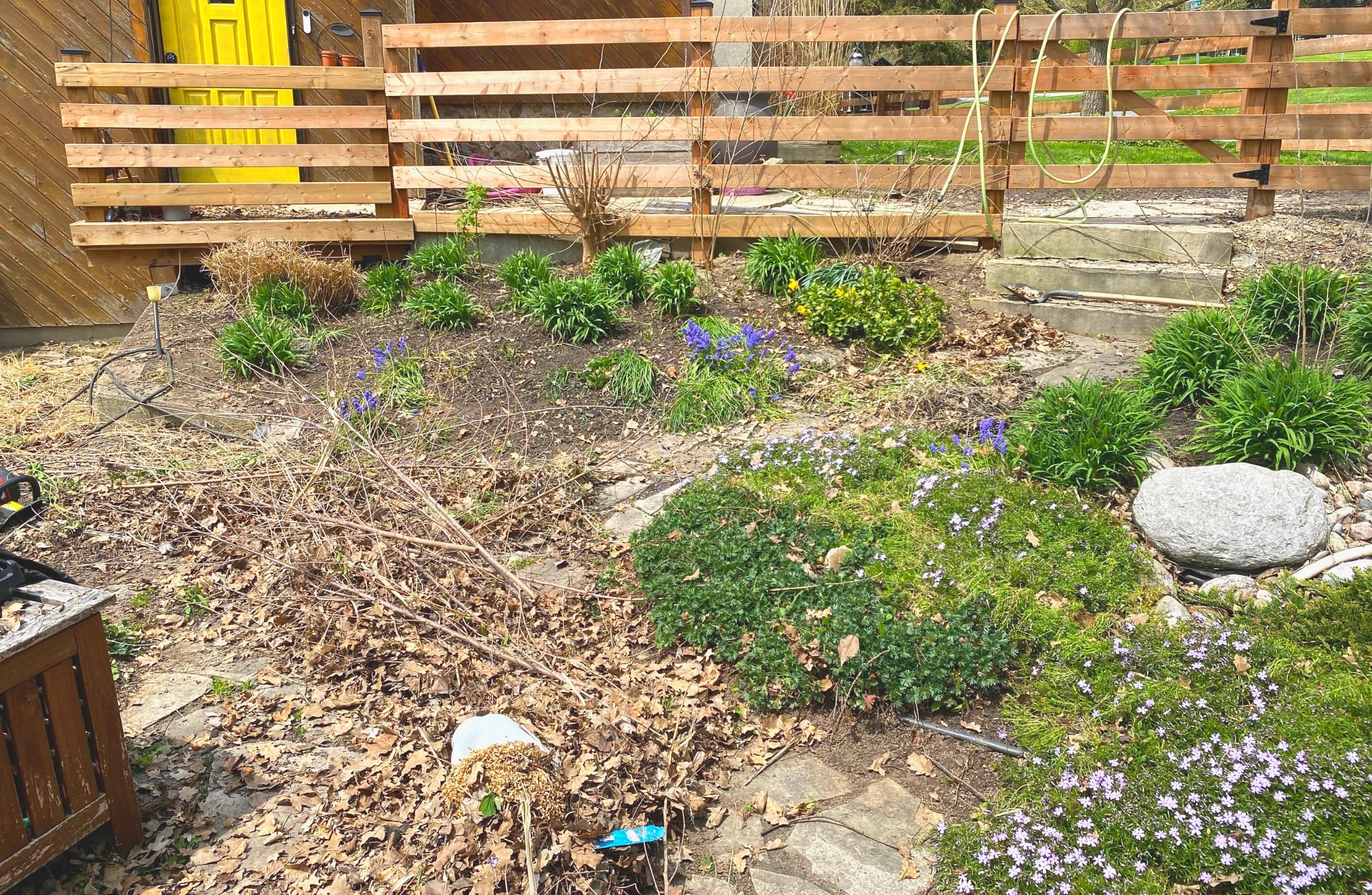 Garden clean-up by TLR Landscaping