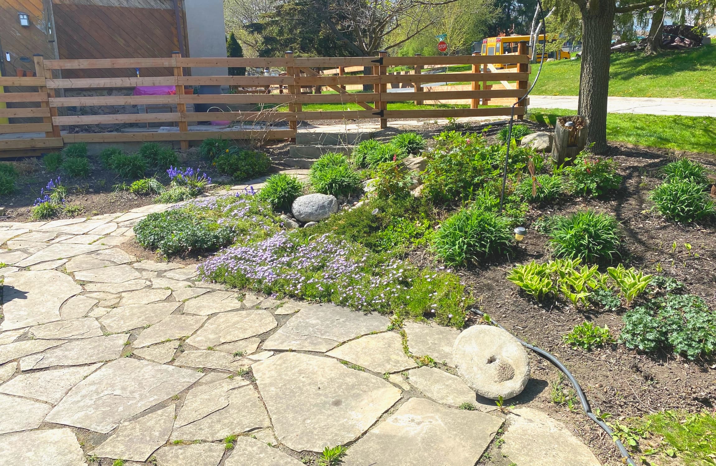 Garden clean-up by TLR Landscaping